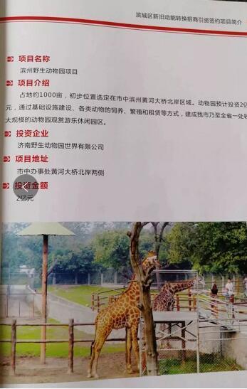 厲害了我的大濱州，15個招商引資項目集中簽約！